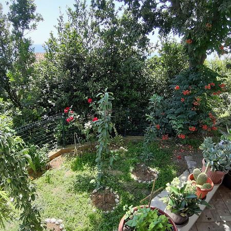 Vesna Apartments Ülgün Dış mekan fotoğraf